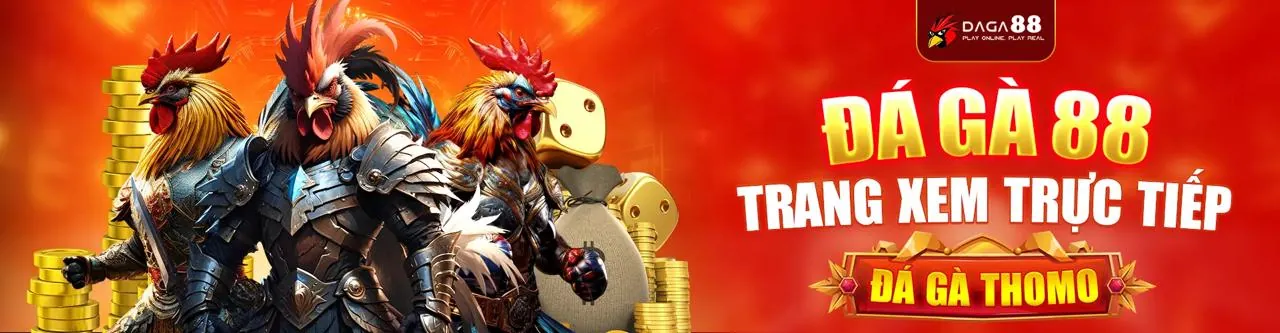 Sân Chơi Đá Gà Trực Tuyến Hàng Đầu ax88 đăng nhập 2026