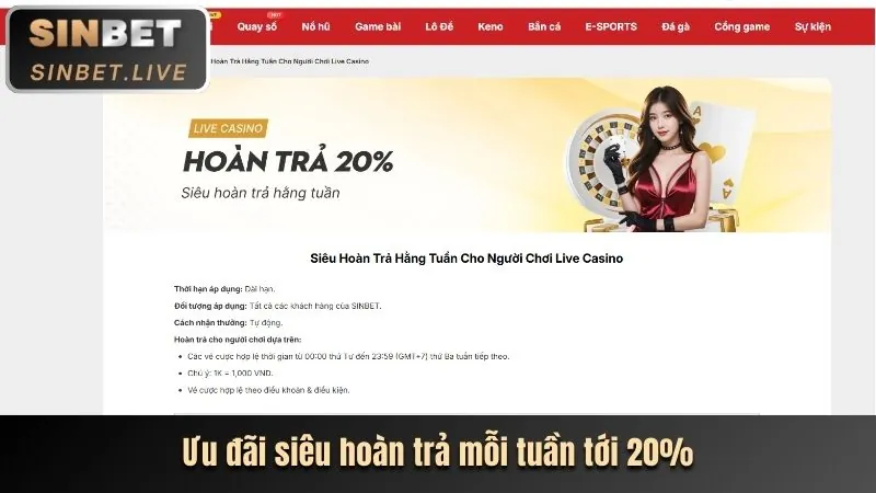 Hoàn Trả Hàng Ngày/Tuần ax88